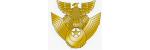 Japanese Air Self Defence Force